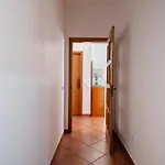Luz Vieira אלבופיירה