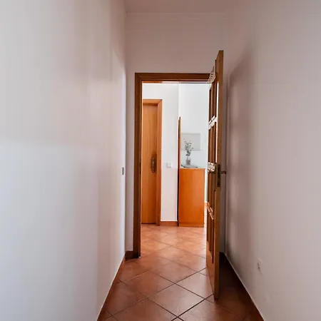 Luz Vieira アルブフェイラ